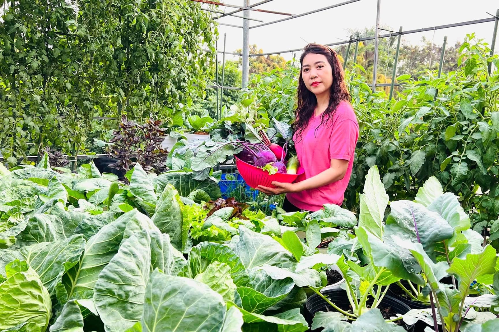 Mẹ đảm ở Hưng Yên kéo đất lên sân thượng, làm khu vườn 50m2 tràn ngập rau củ