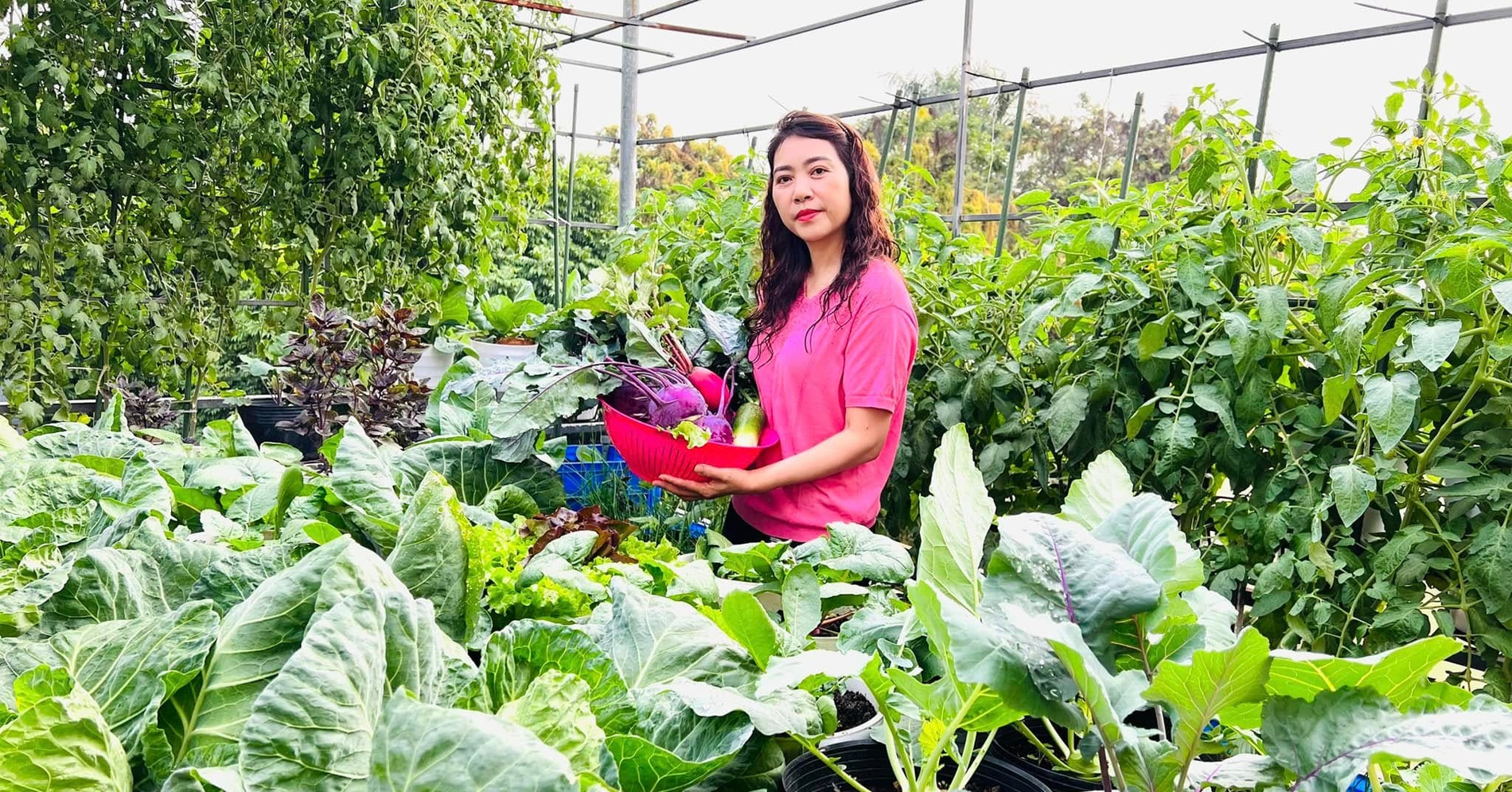 Mẹ đảm ở Hưng Yên kéo đất lên sân thượng, làm khu vườn 50m2 tràn ngập rau củ