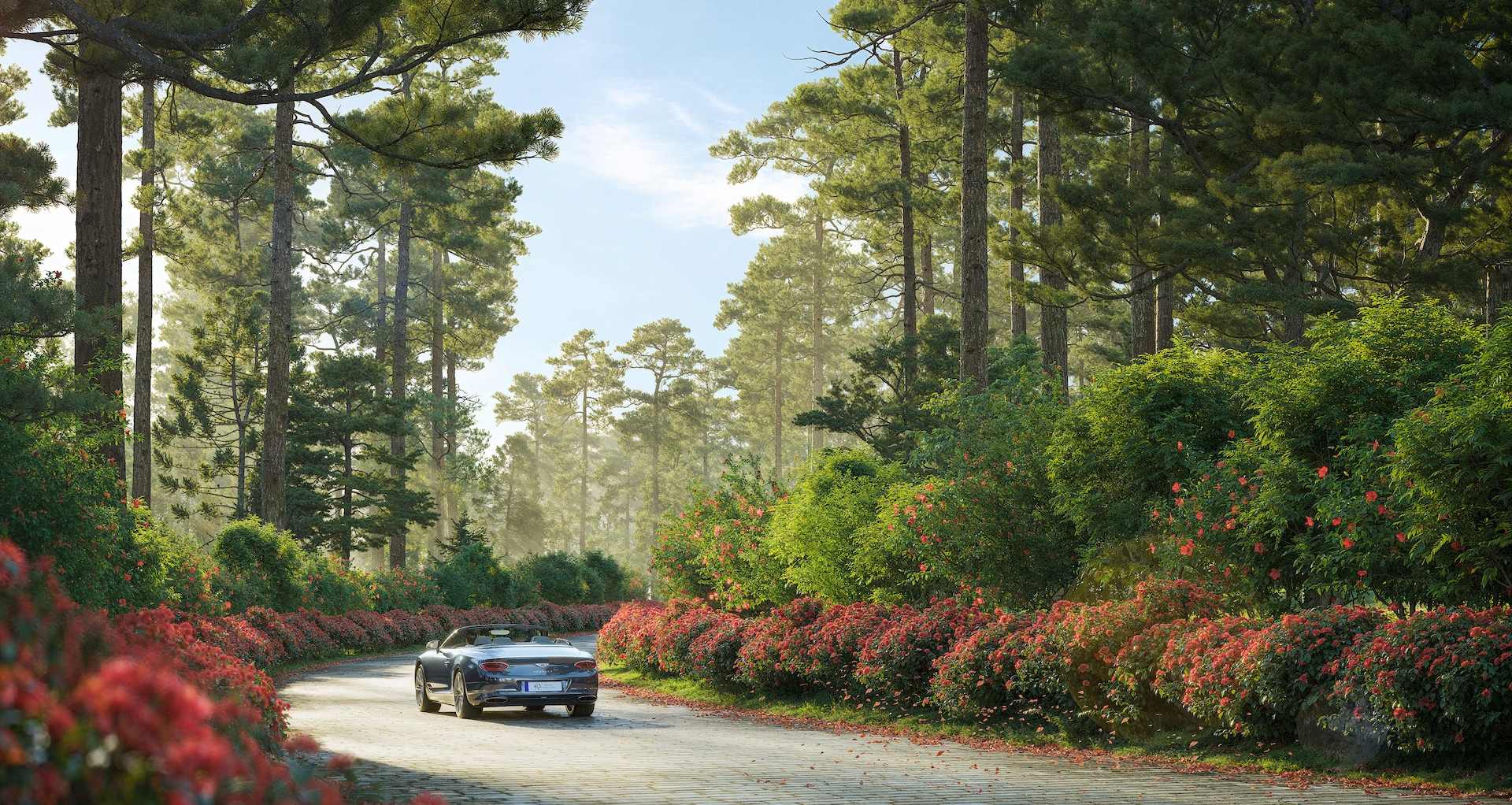 Thanh Xuan Valley - miền an trú giữa thung lũng thông reo