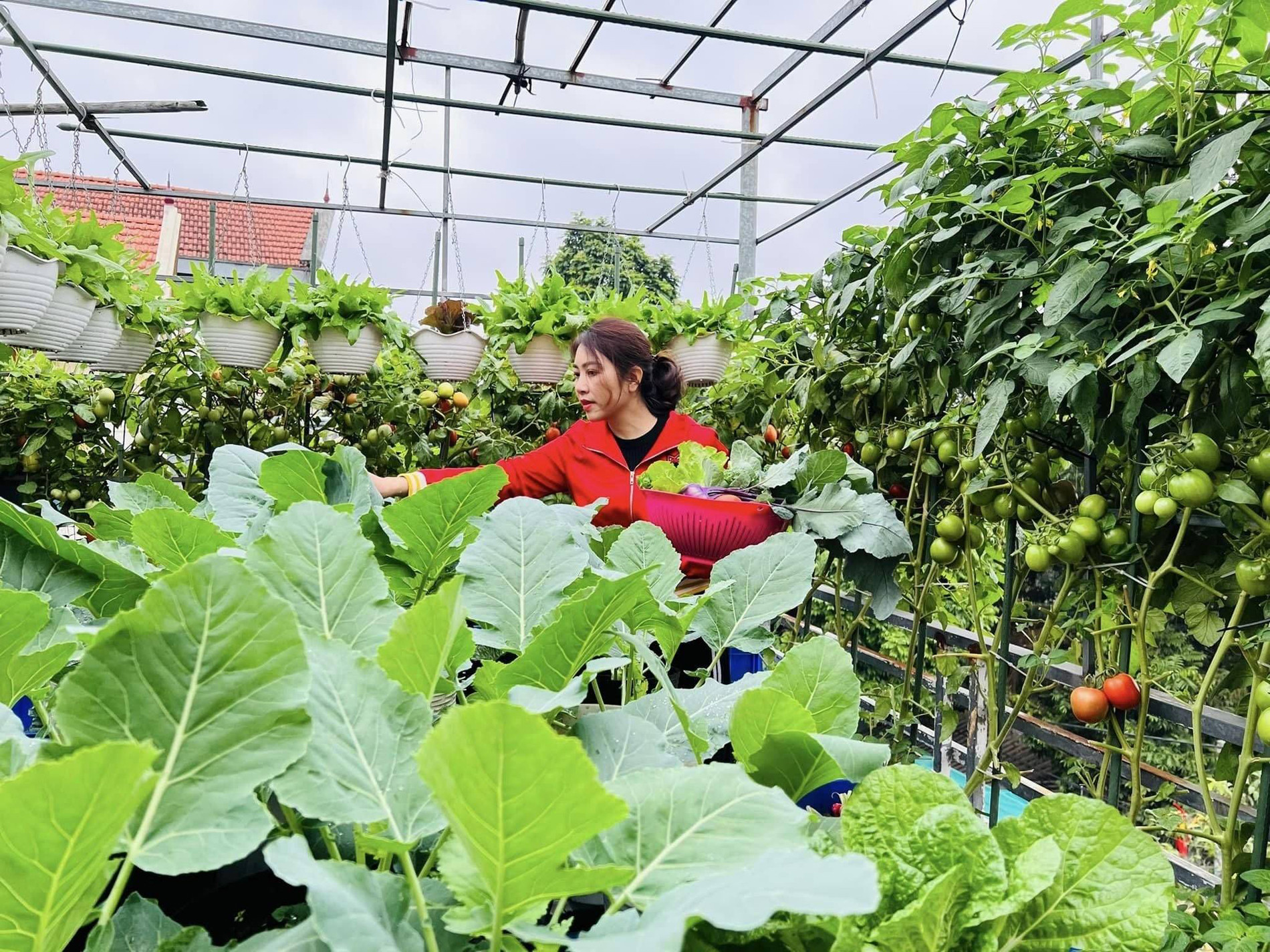 vườn sân thượng ở Hưng Yên 8.jpg