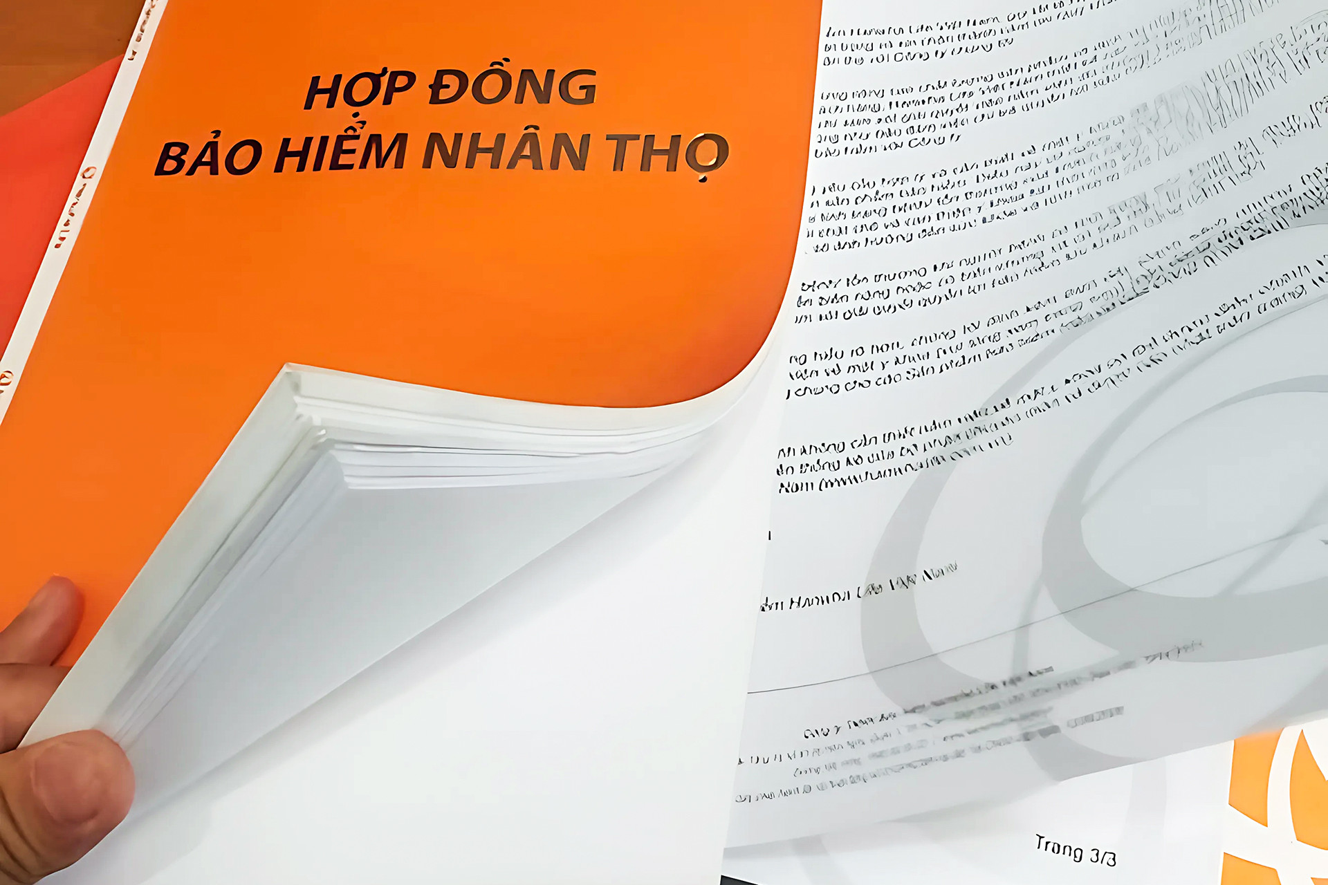 IMG_718FD2B2C976 1.jpeg