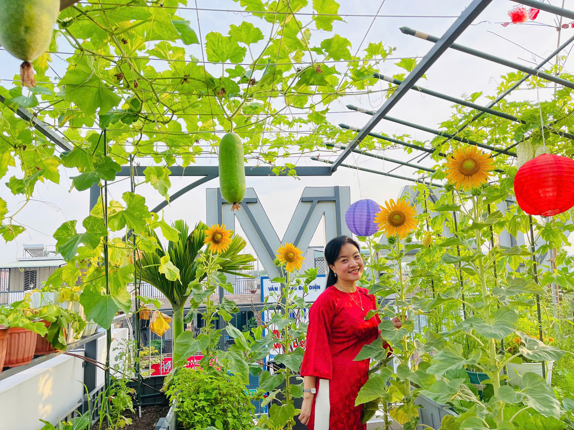 mẹ đảm Đồng Nai làm vườn sân thượng 07.jpg