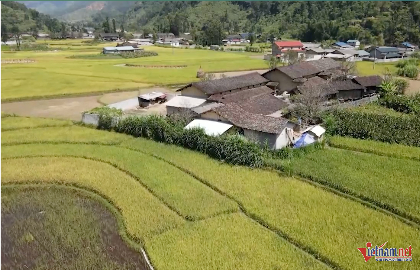 W-hagiang 950.png