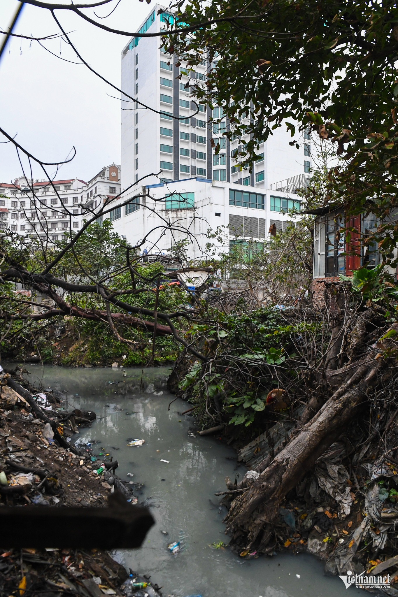 W-o nhiem moi truong 7.jpg