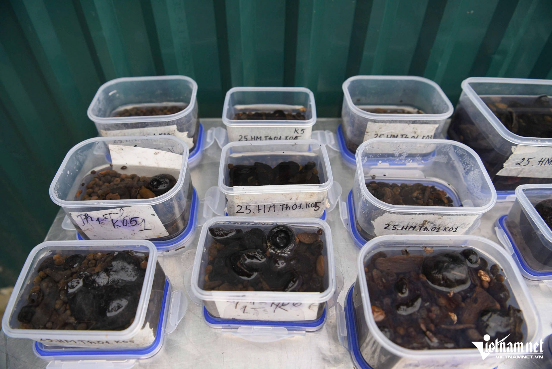 W-thuyền bắc ninh_57.JPG.jpg