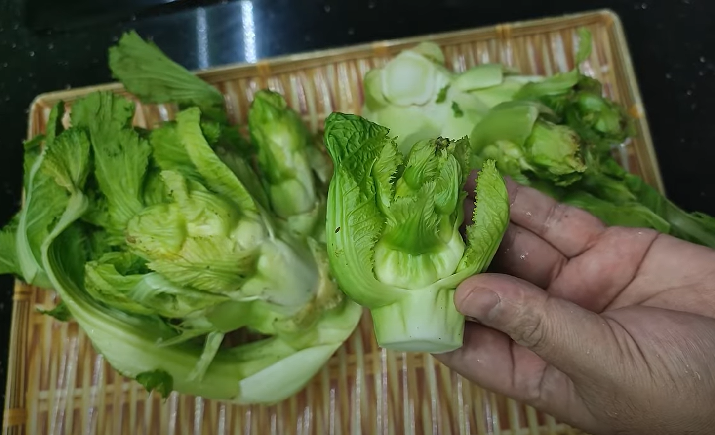 mầm đá ẩm thực việt 0.png