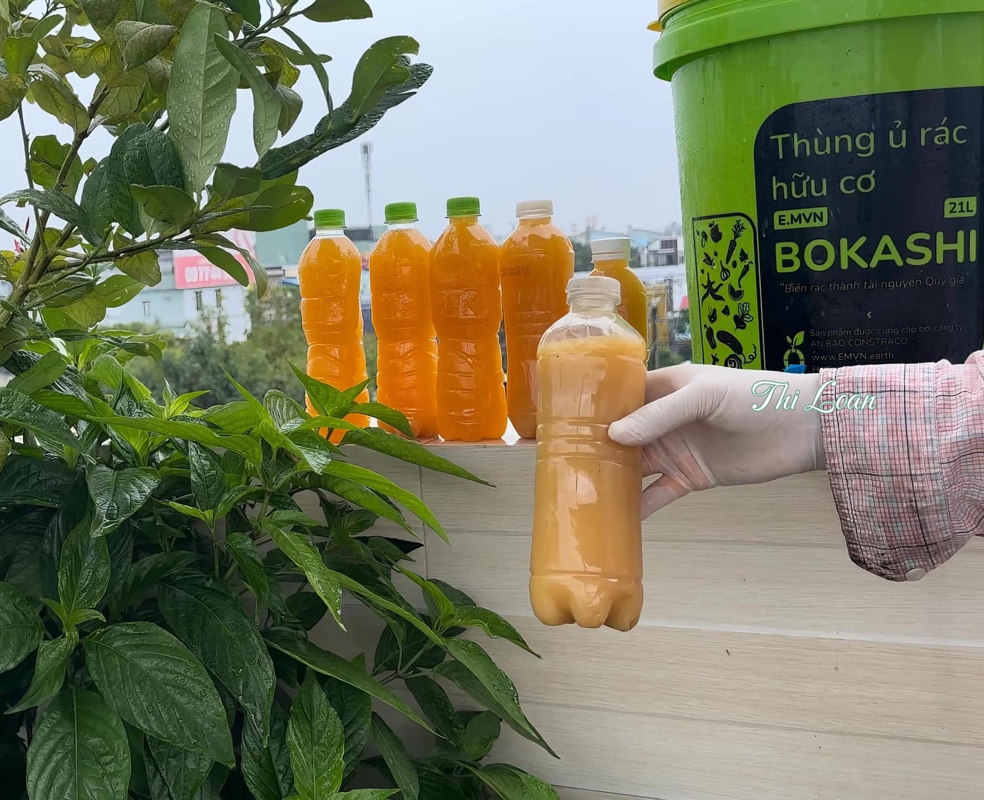 473243661_122139326390379667_5482269807793831547_n (1).jpg