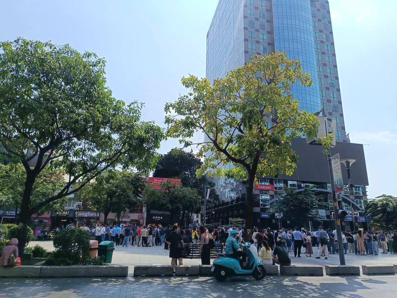 dong dat vietnamnet.jpg