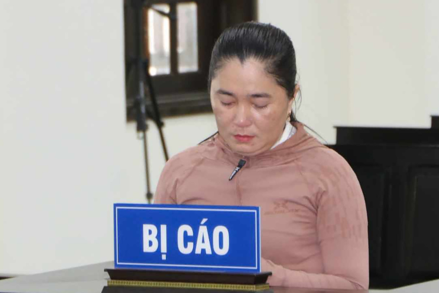 Nữ kế toán chiếm đoạt 650 triệu đồng tiền BHYT của học sinh để trả nợ xây nhà