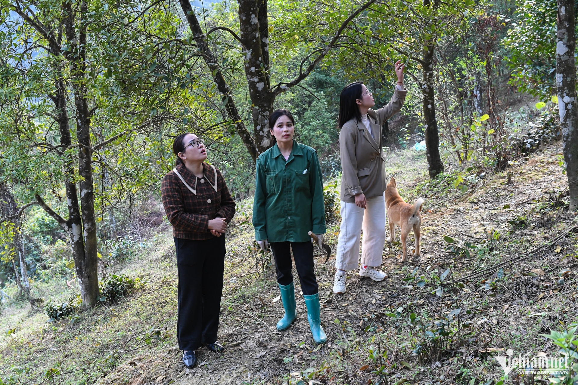 W-trong hoi   dan toc thieu so 13.jpg