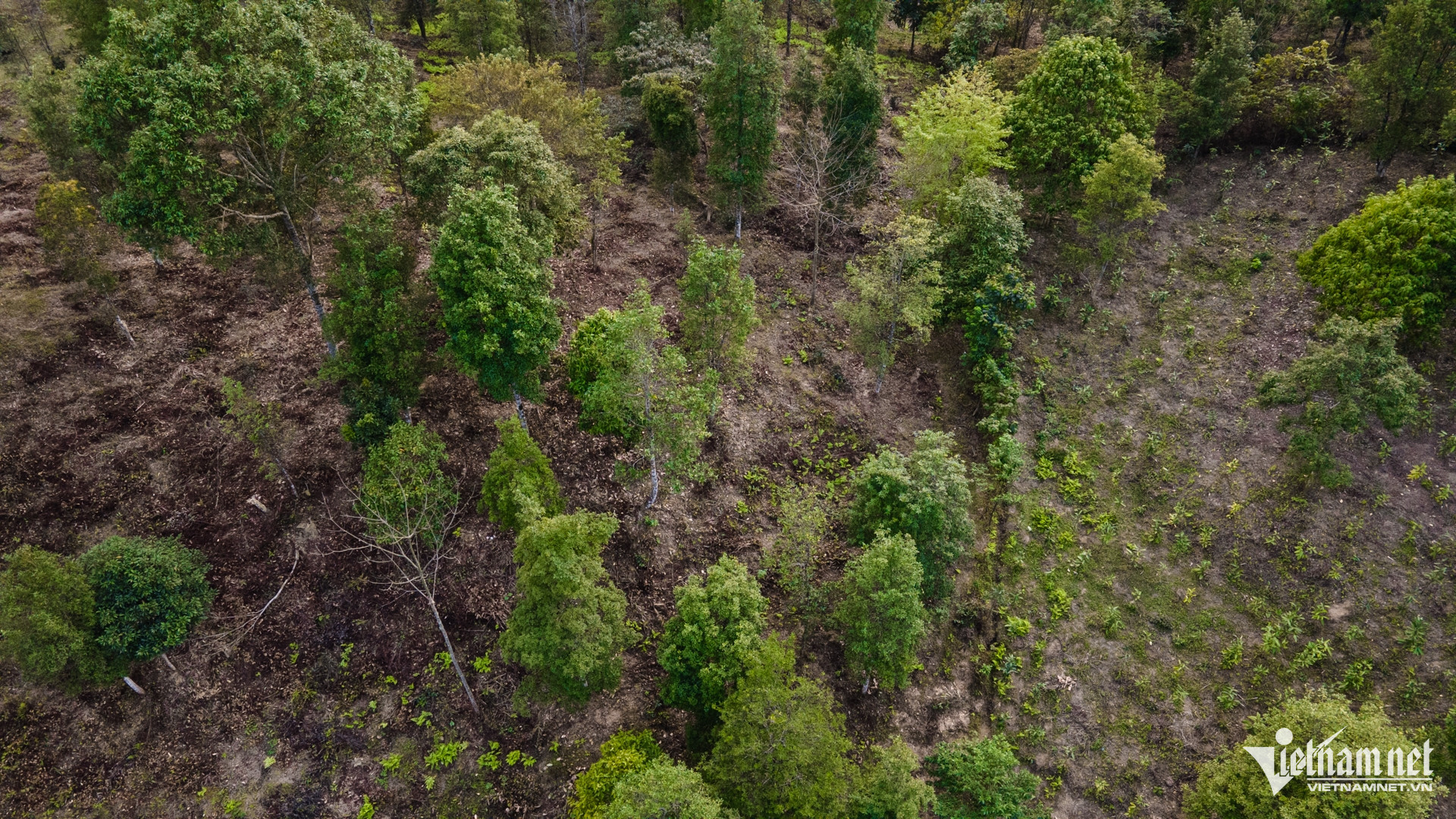 W-trong hoi   dan toc thieu so 5.jpg