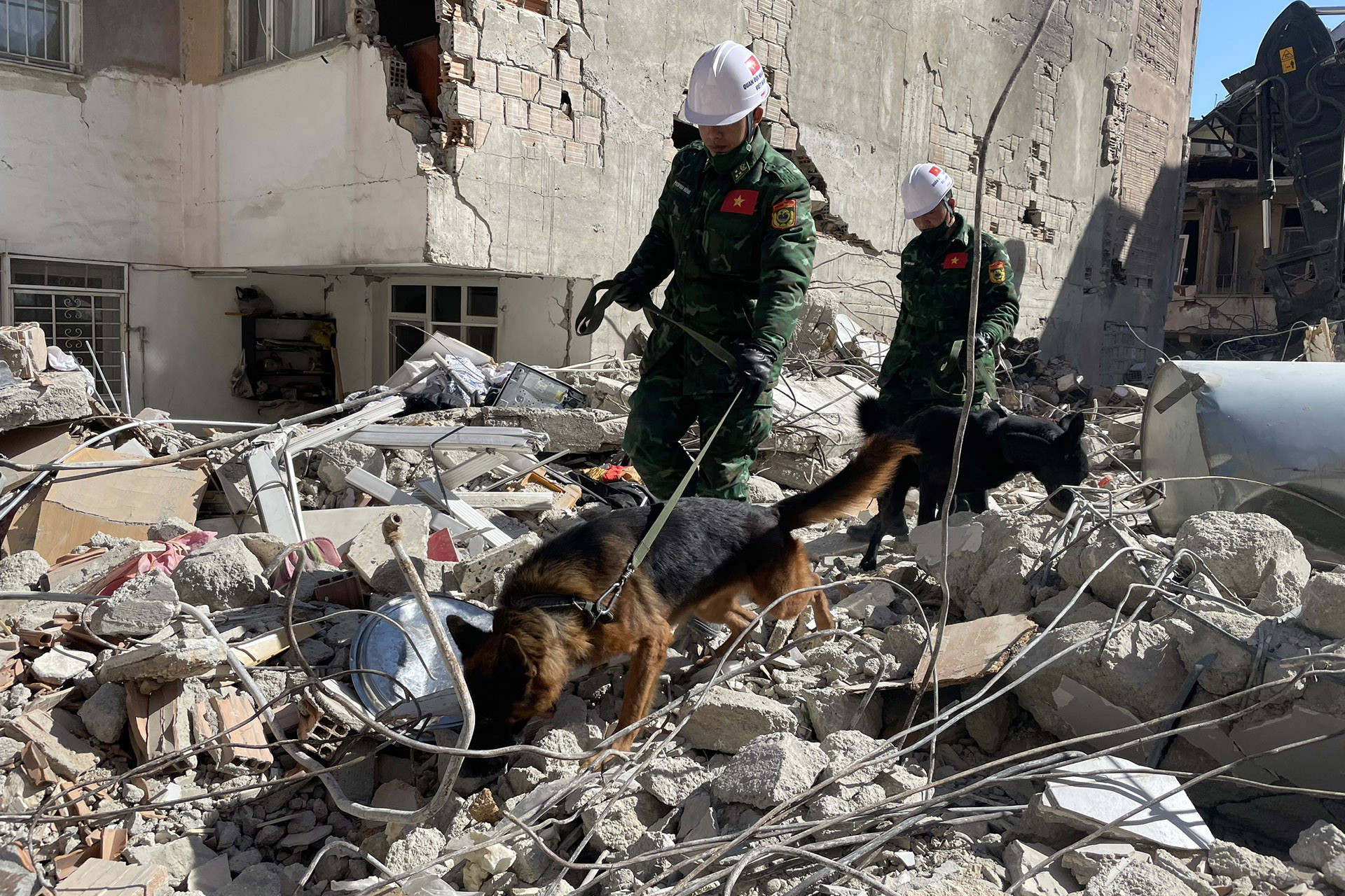 Quân đội cử gần 80 chiến sĩ cùng chó nghiệp vụ cứu trợ động đất tại Myanmar