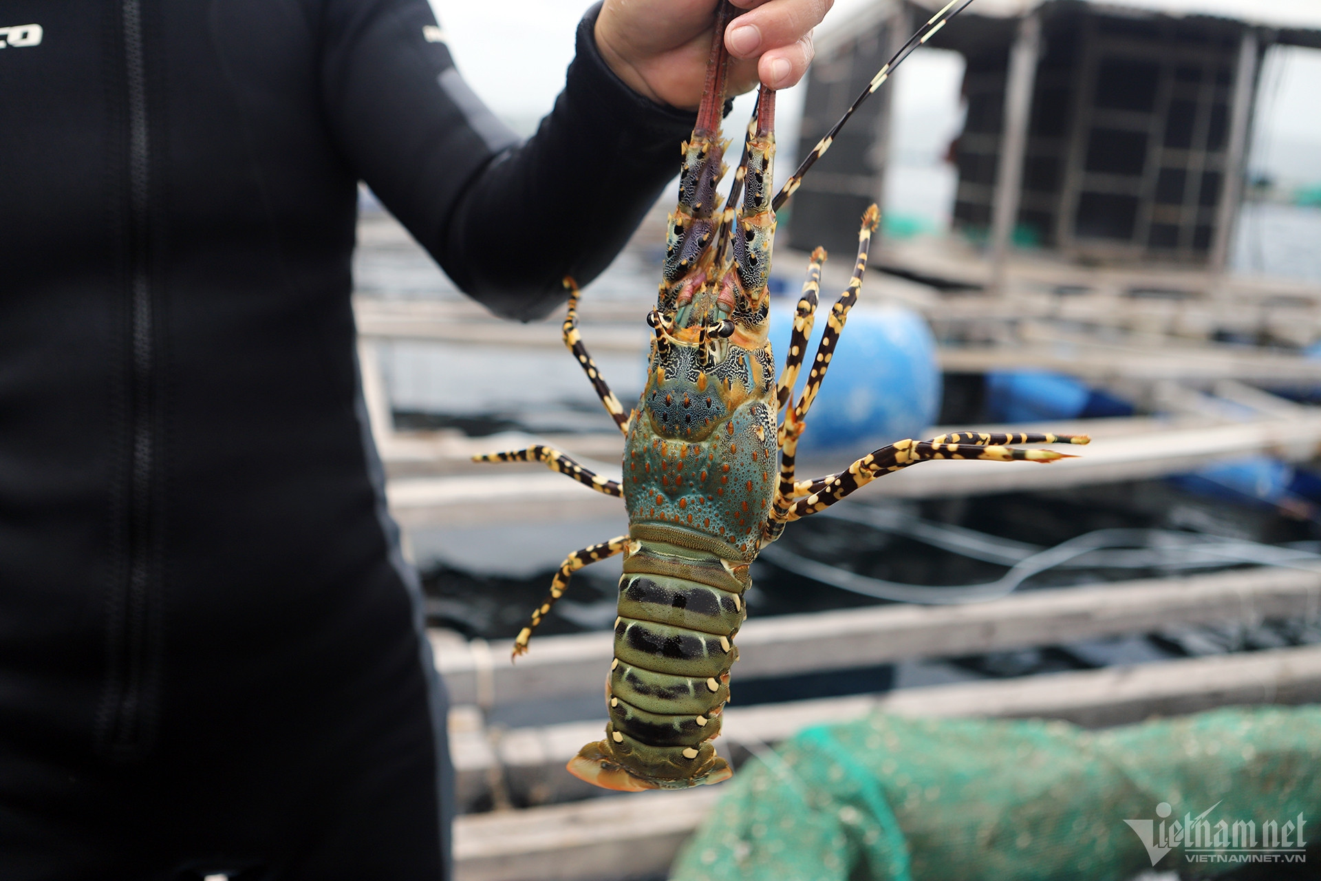 Tỉnh nào nuôi tôm nhiều nhất cả nước?