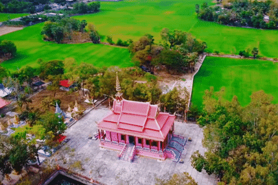 Ngôi chùa màu hồng rực rỡ, có hàng cây cổ thụ hiếm thấy ở An Giang