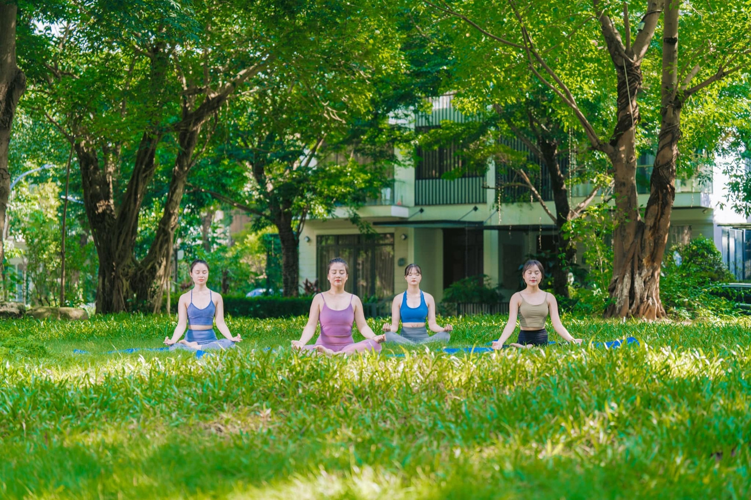 Sống khỏe mạnh nhờ trị liệu, tái tạo, phục hồi năng lượng ngay tại nhà