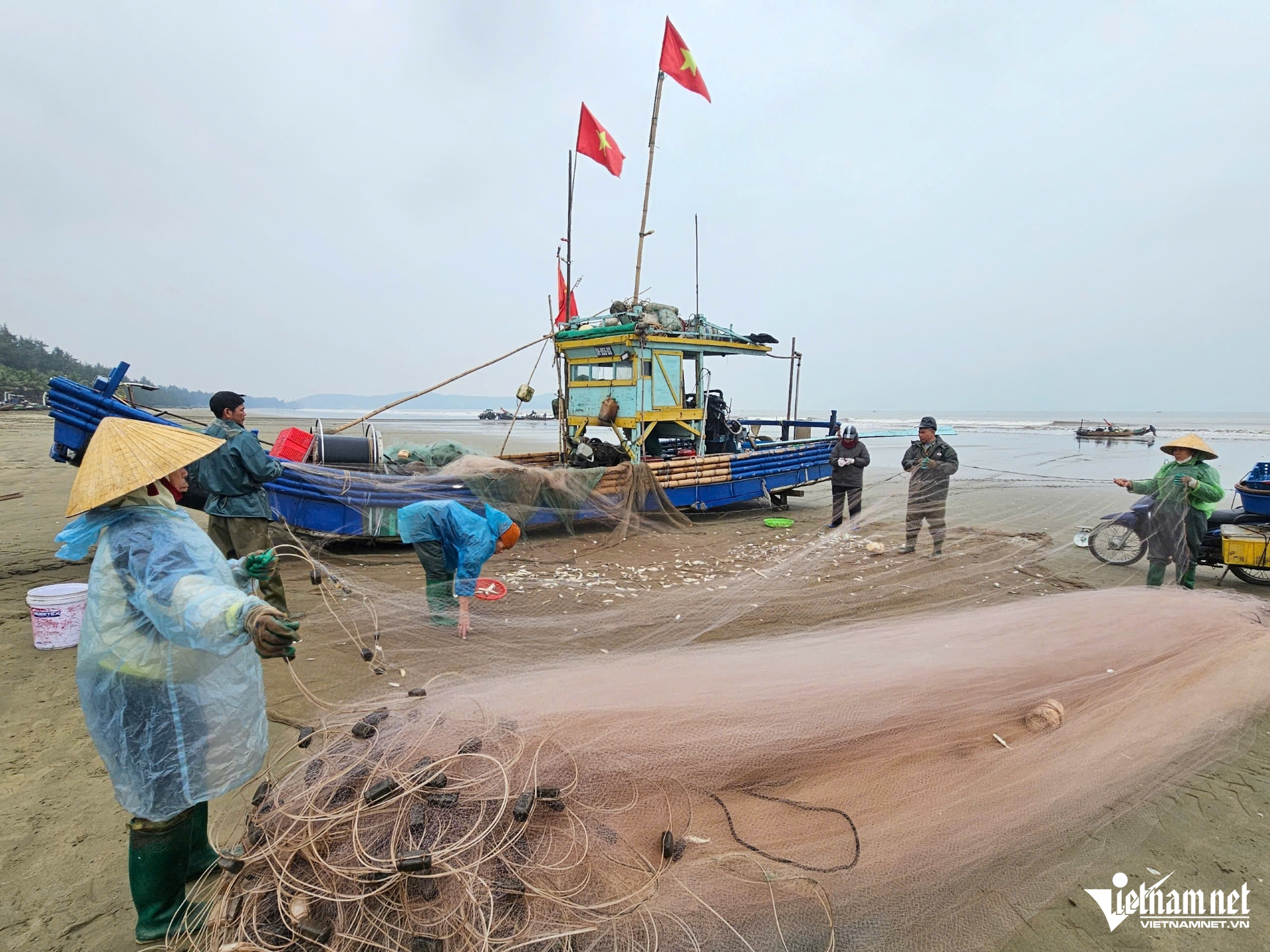 W-a6Gỡ cá trích mỏi tay.jpg