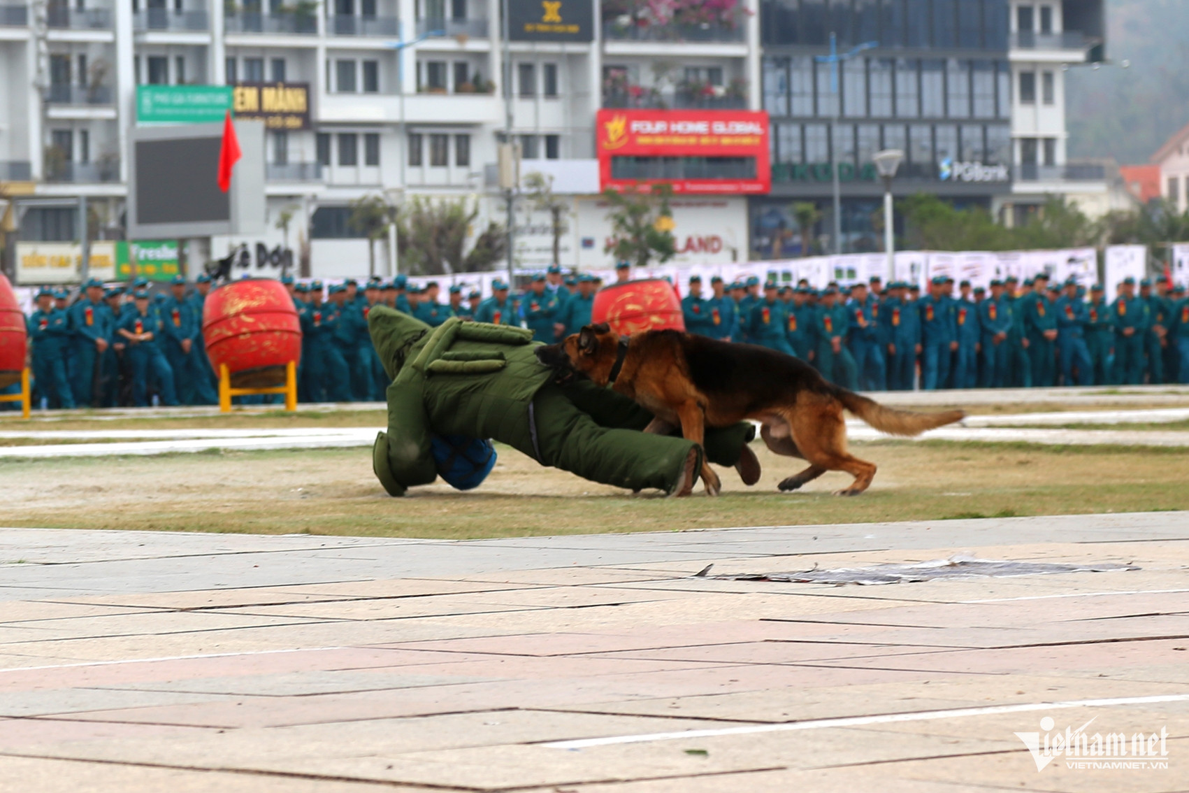 W-Ảnh 10.JPG.jpg