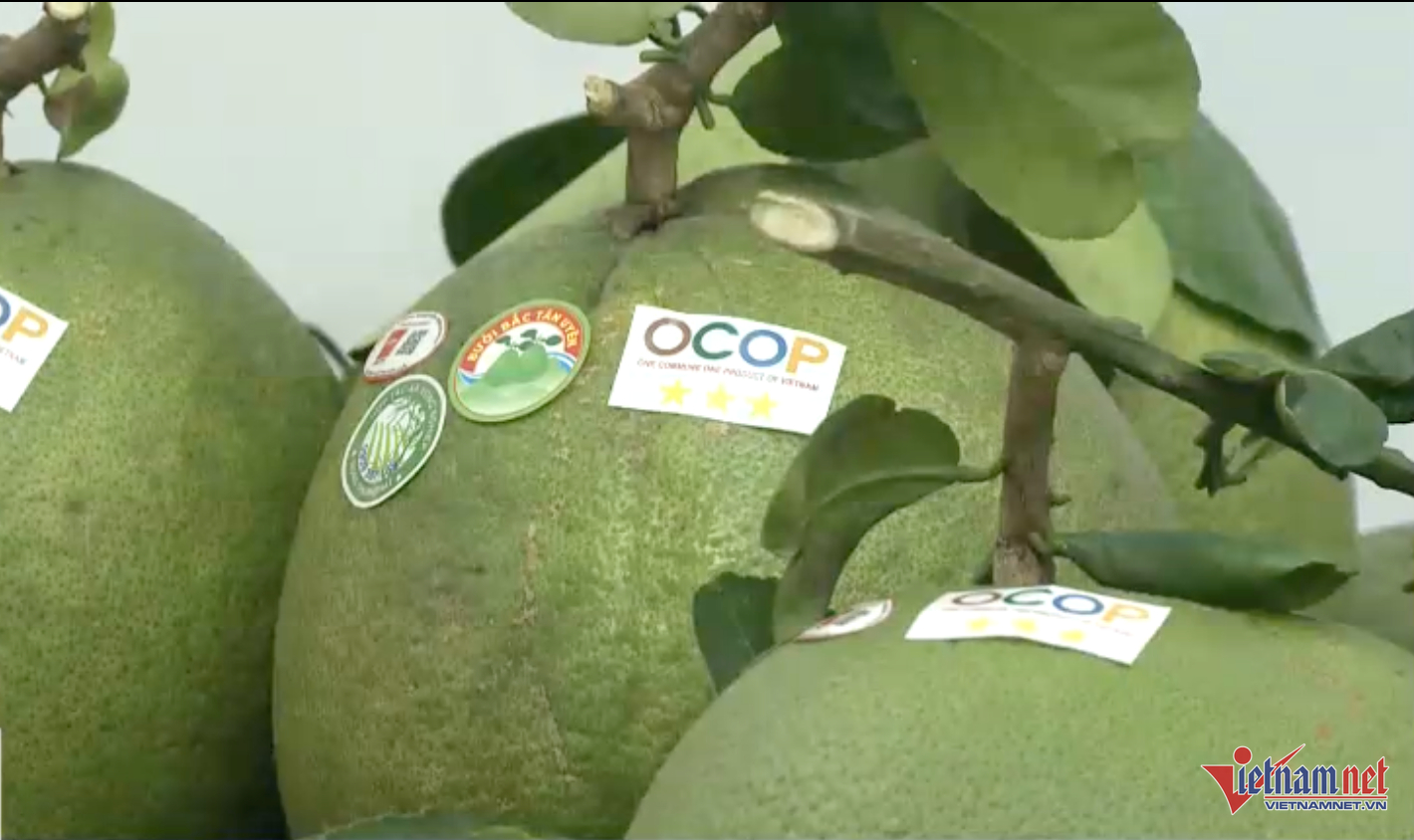 W-binhduong 89 1.png