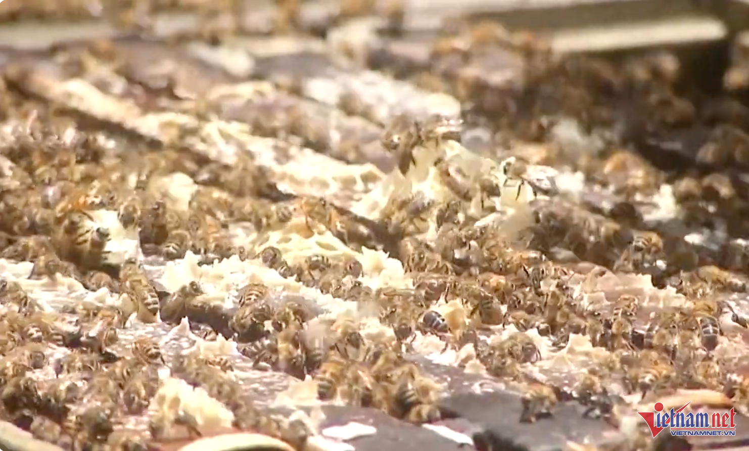 W-giaothuy2 921 1.png