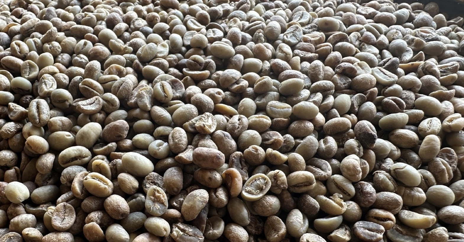 Nhật Bản trả giá đắt gấp đôi một loại hạt của Việt Nam, thu về hơn 3.200 tỷ đồng