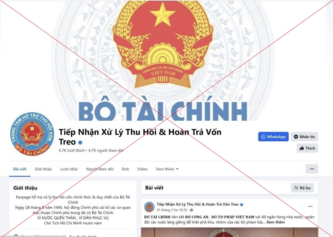 gia mao bo tai chinh.jpg