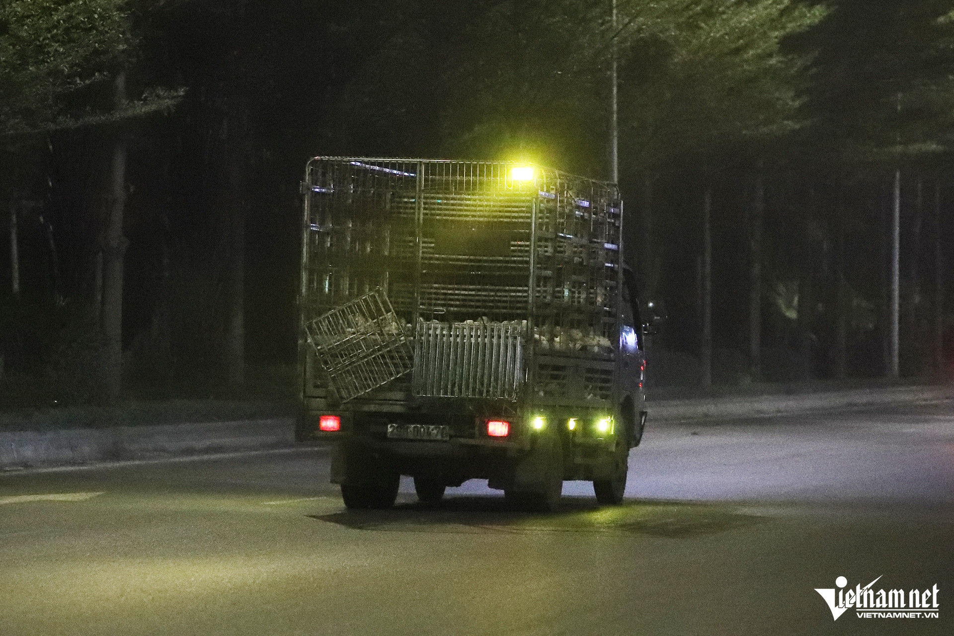 W-den sieu sang 10 copy.jpg