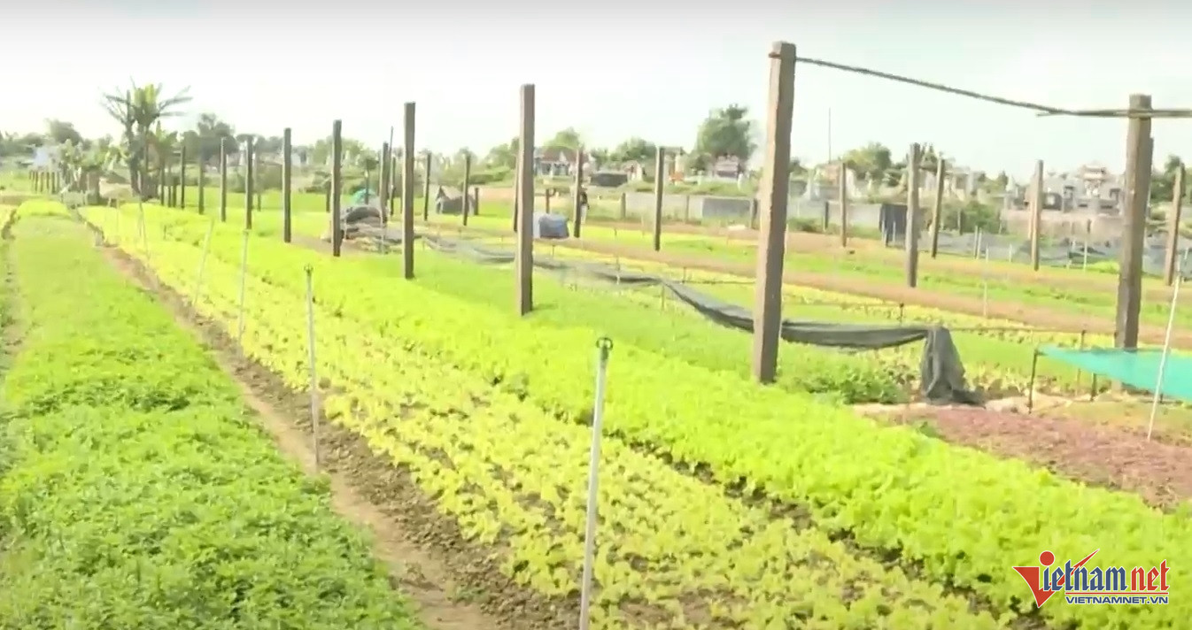 W-huyen quang dien thua thien hue 378.jpg