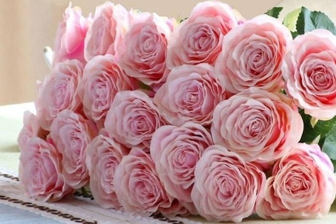 Quà 8/3 thiết thực và ý nghĩa dành tặng cô giáo