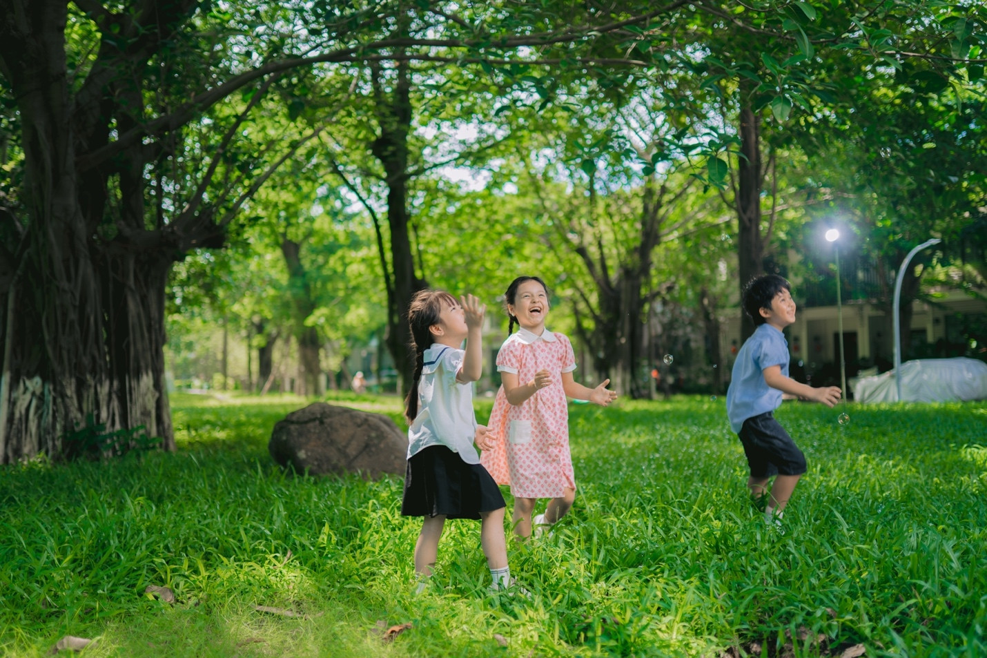 Môi trường sống tác động đến chỉ số phát triển toàn diện của con người ra sao?