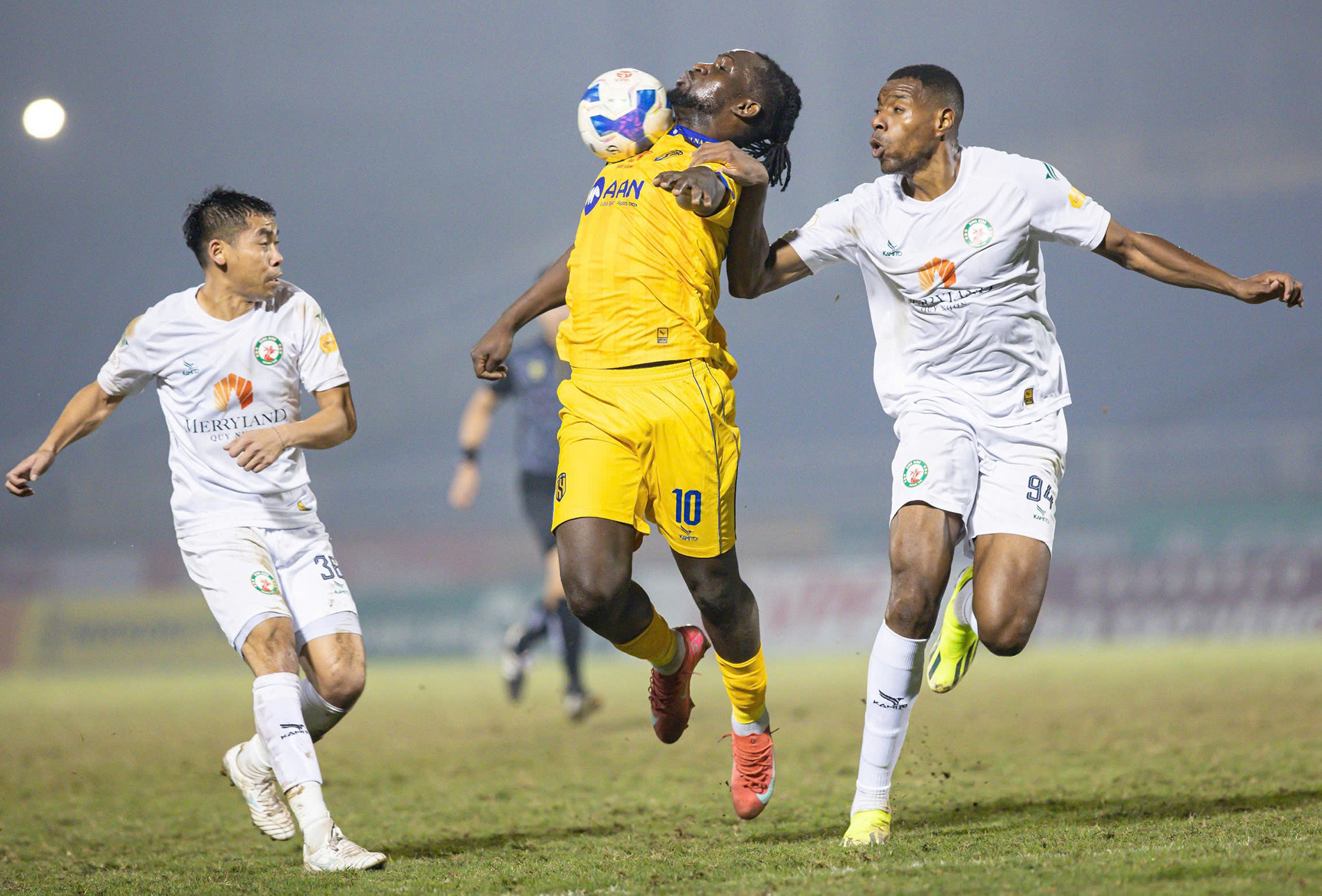 slna   binh dinh.jpg