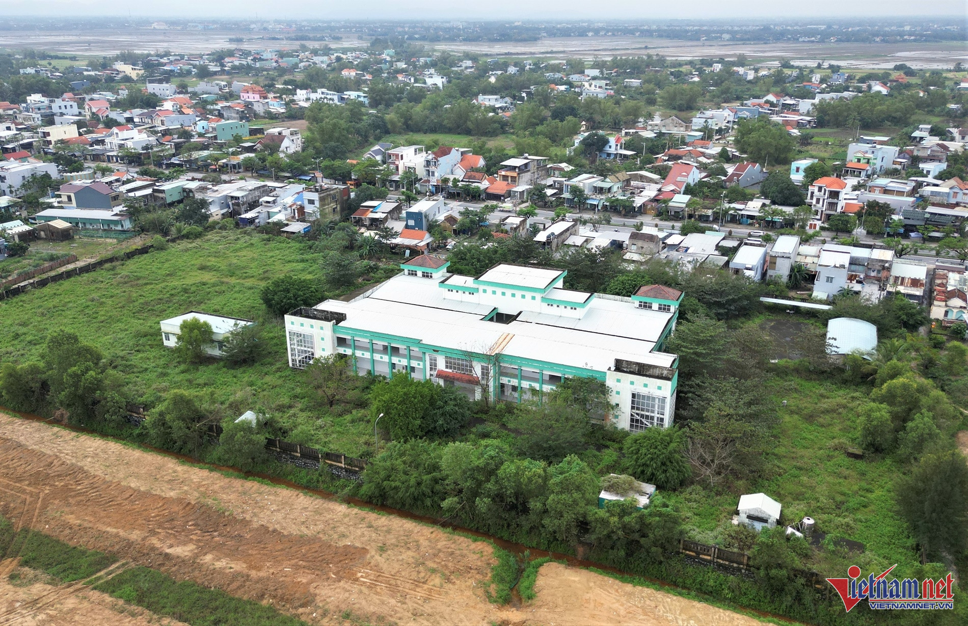 W-Anh 1.jpg