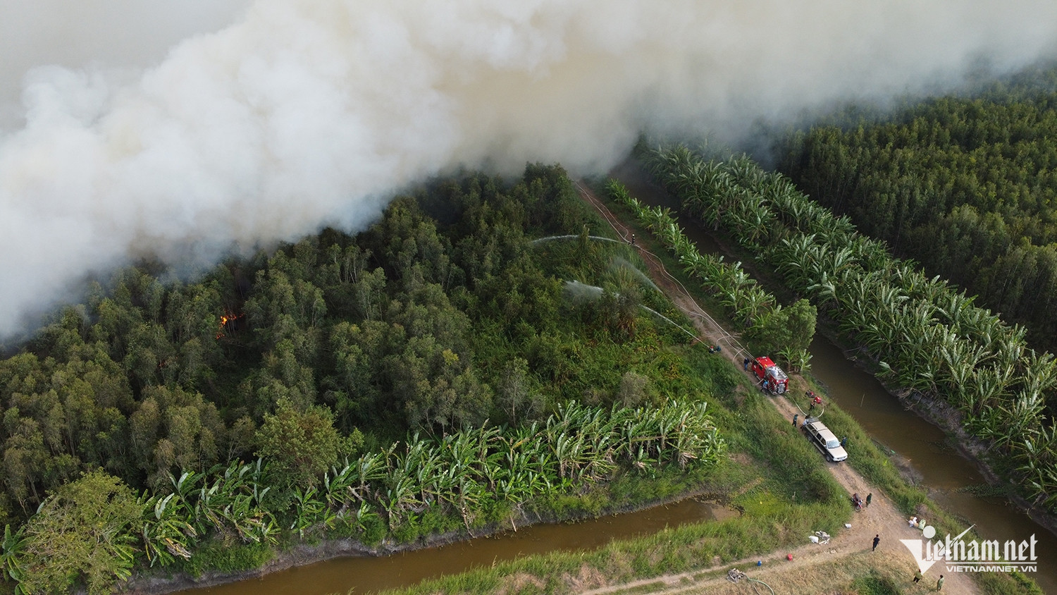 W-chay rung 4006.jpg