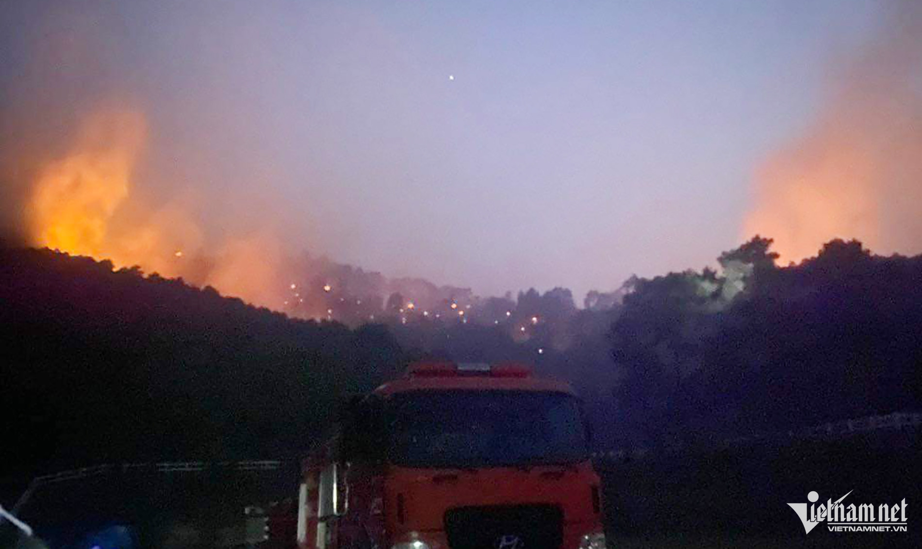 W-chay rung nghe an 2537.jpg