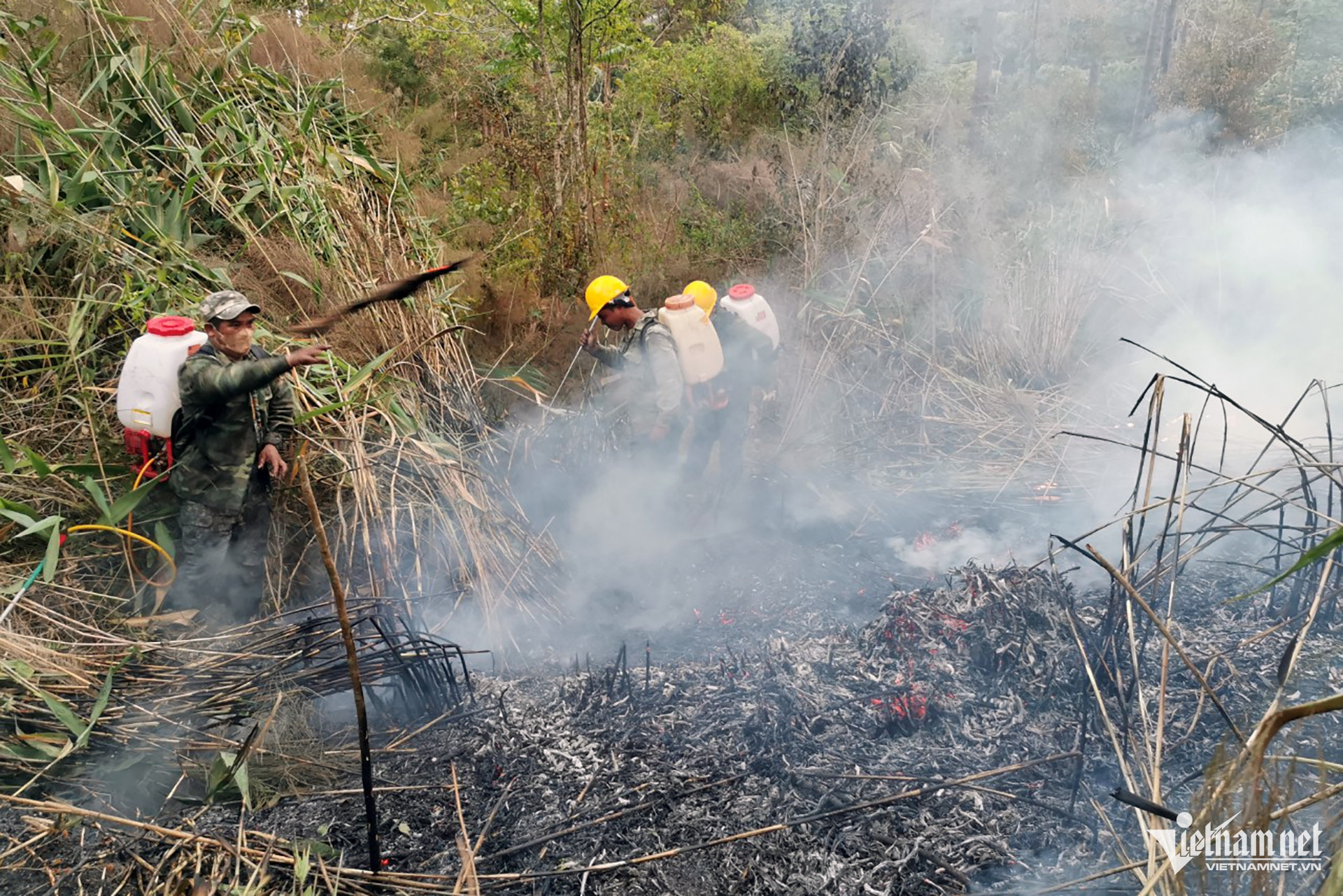 W-dalatchay 3 780 2538.jpg