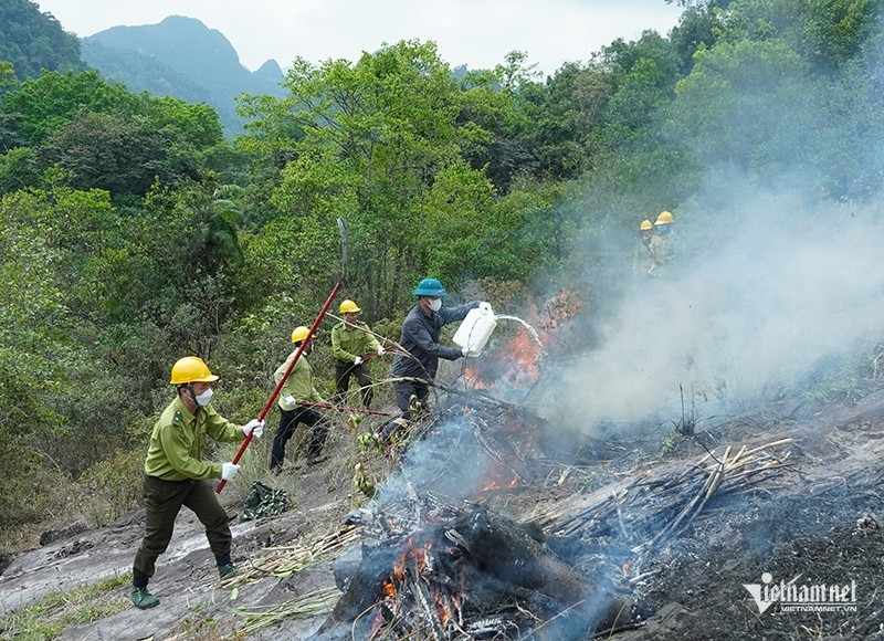 W-tinh quang binh da co nhieu phuong an chu dong thuc hien phong chay chua chay rung 1784.jpg