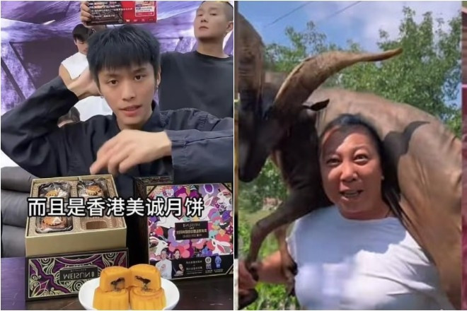 Bị tố livestream bán hàng kiểu 'treo đầu dê bán thịt chó', loạt KOL khốn đốn