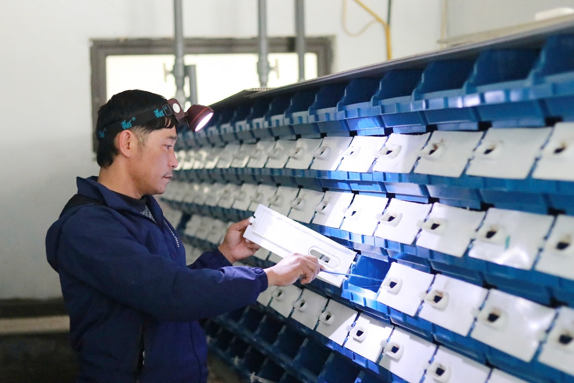 Nuôi cua biển kiểu độc lạ, một hợp tác xã ở Hà Tĩnh lãi bạc tỷ