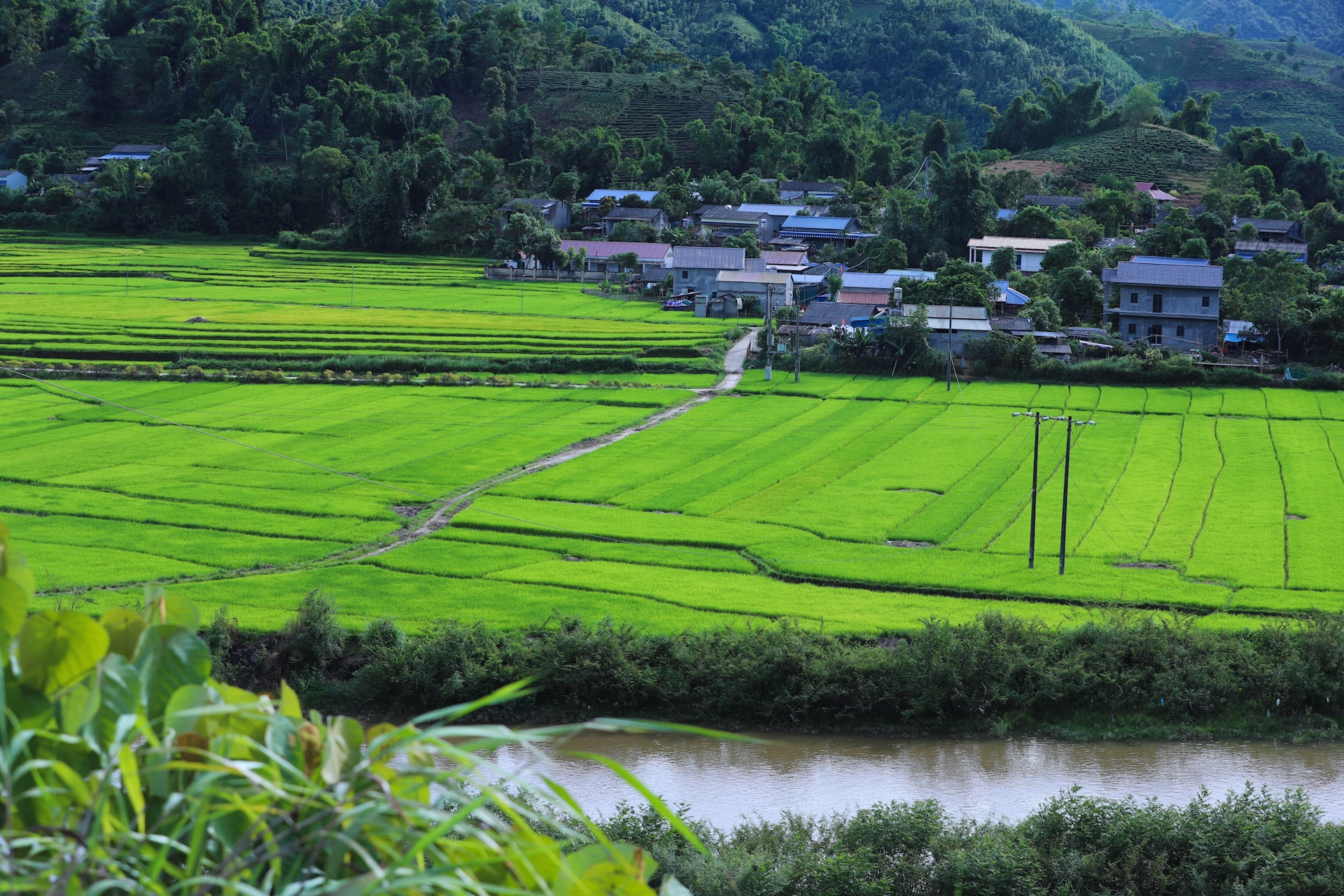Phấn đấu thu nhập bình quân của người thiểu số bằng 1/2 bình quân của cả nước