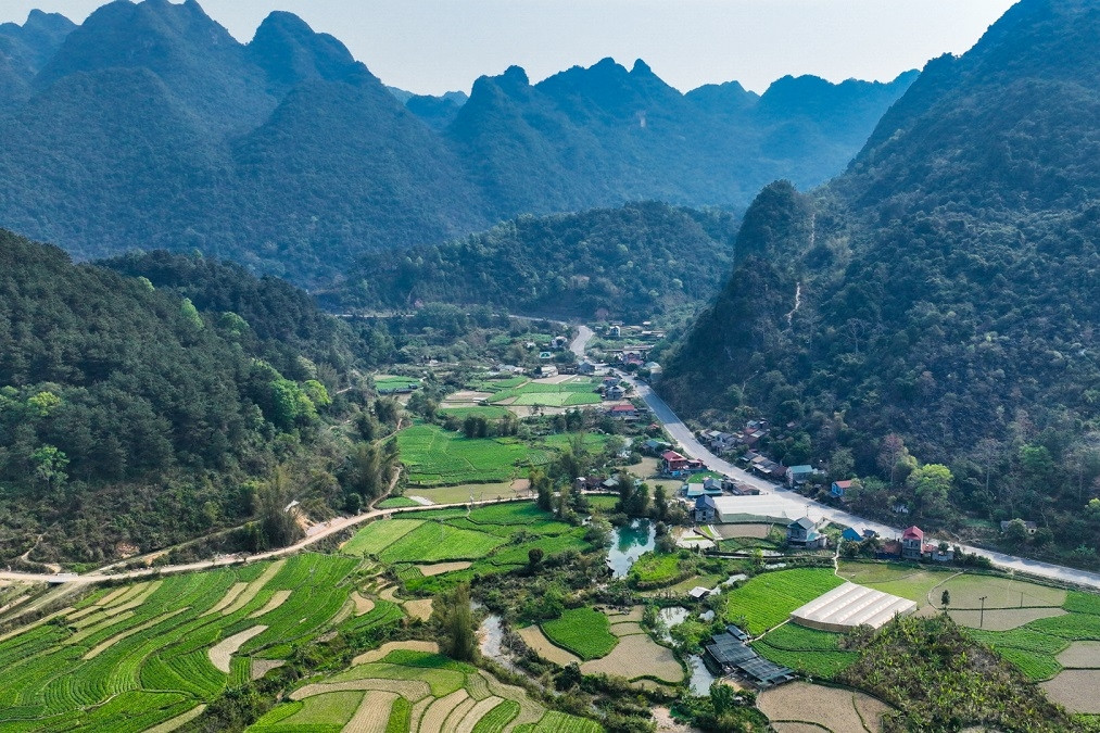 9/49 tỉnh thành cơ bản hoàn thành các mục tiêu, chỉ tiêu của Chương trình 1719