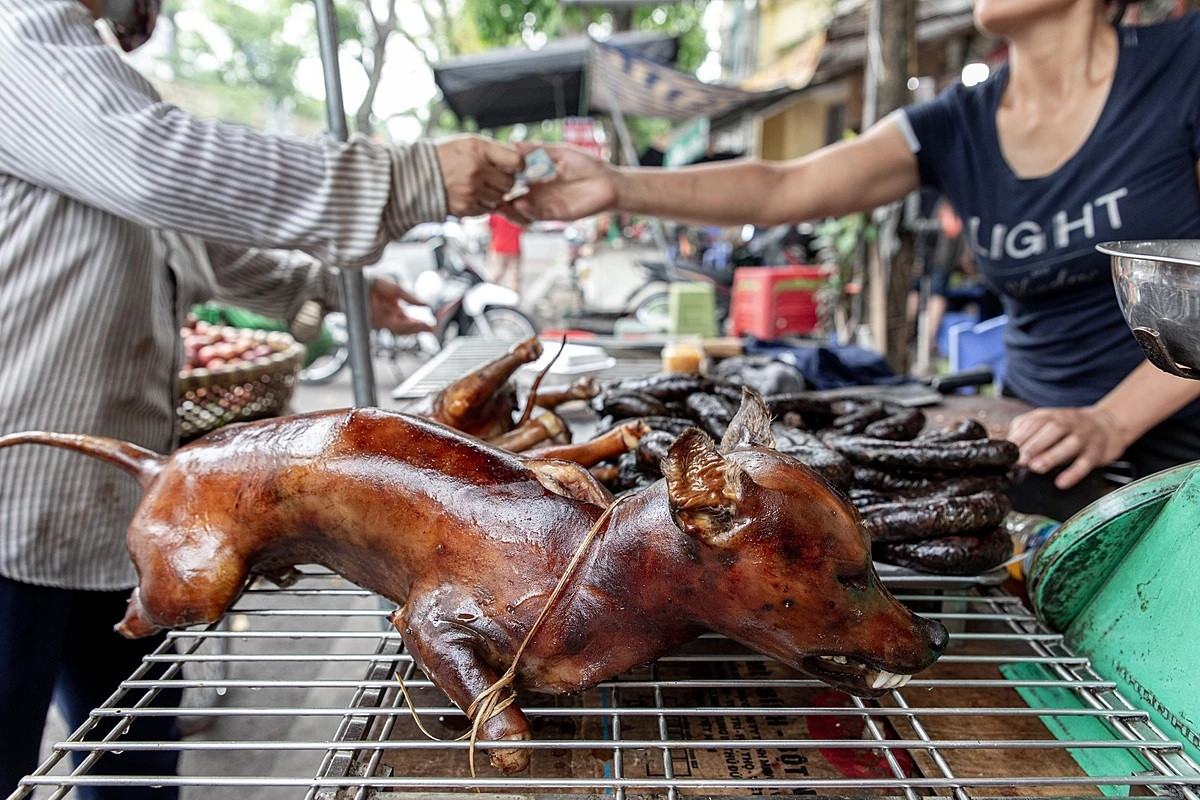Bài học cuộc đời: Chó là bạn, thịt chó là đồ ăn