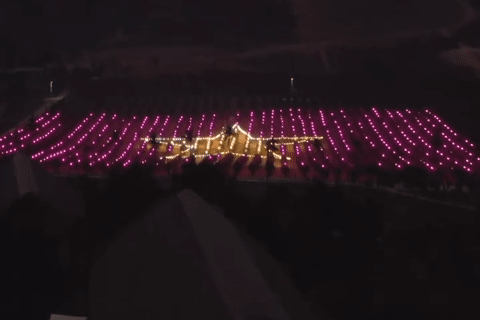 Biến vườn thanh long ở Vĩnh Phúc thành lá cờ Tổ quốc rộng gần 9.000m2