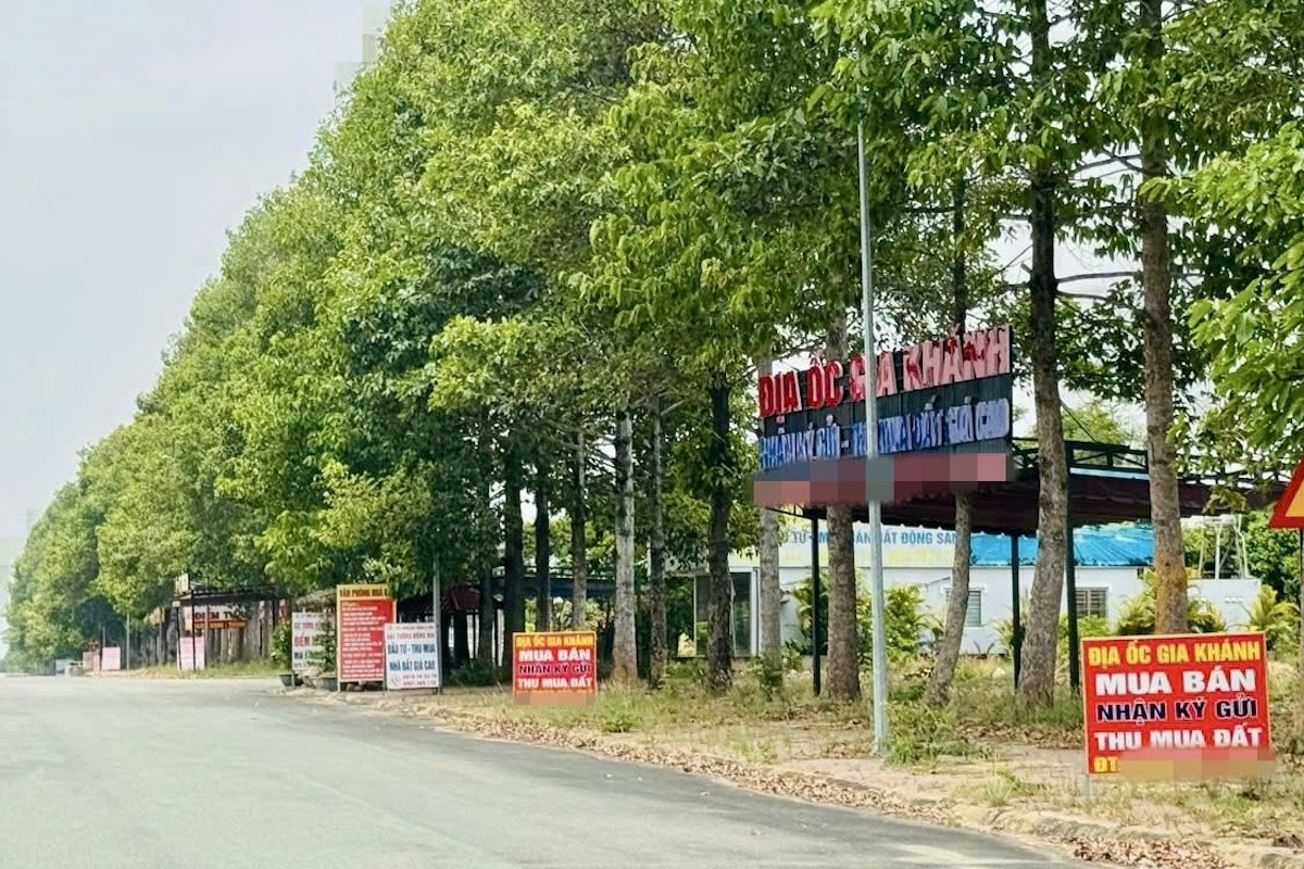 Môi giới bịa tin sáp nhập để ‘bơm thổi’ giá đất khu vực lân cận TPHCM