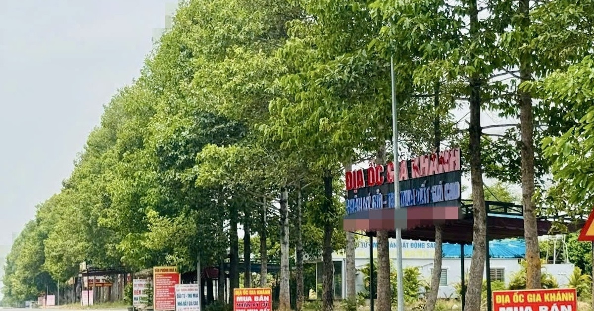 Môi giới bịa tin sáp nhập để ‘bơm thổi’ giá đất khu vực lân cận TPHCM