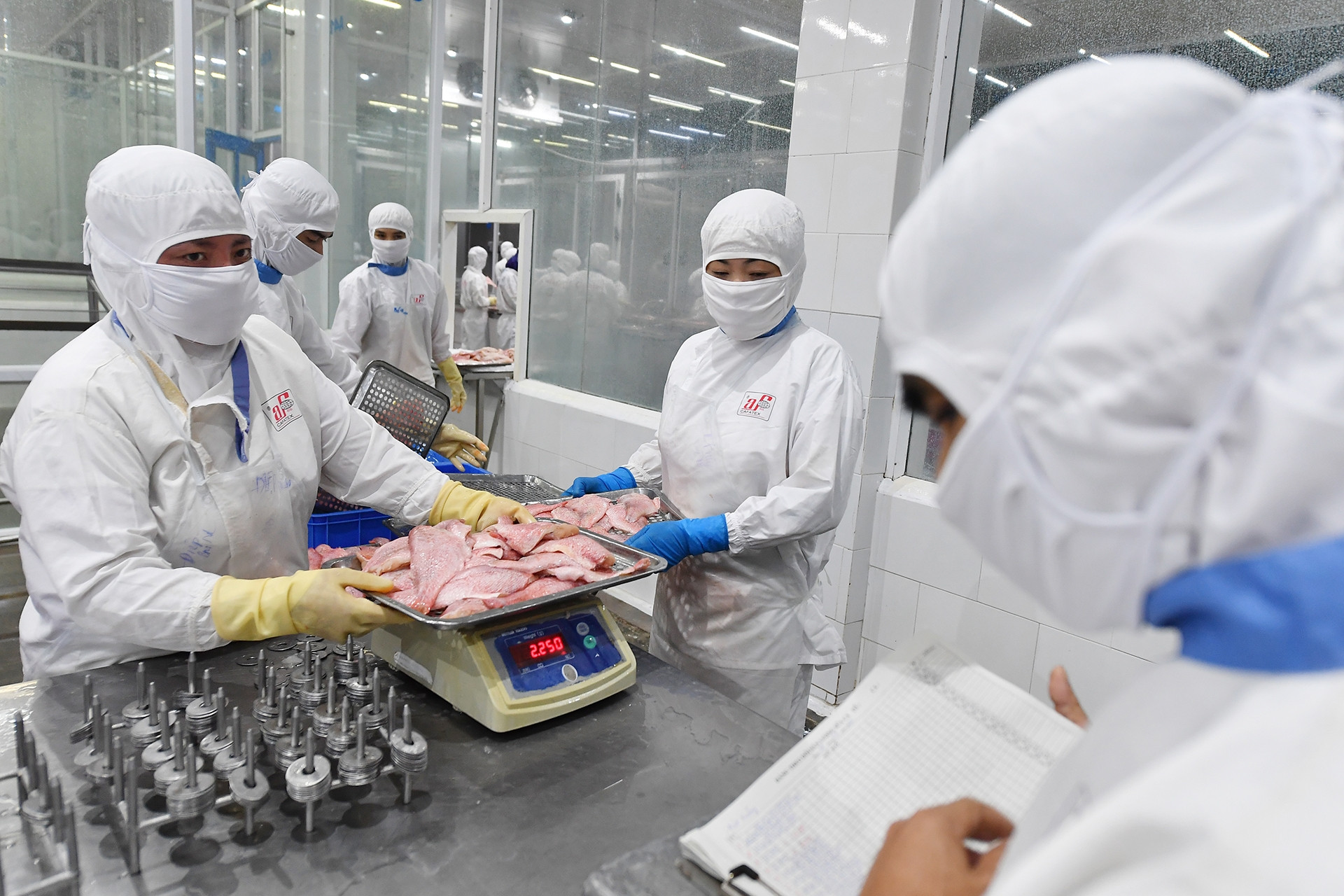 Thủy sản Việt Nam cần tận dụng lợi thế