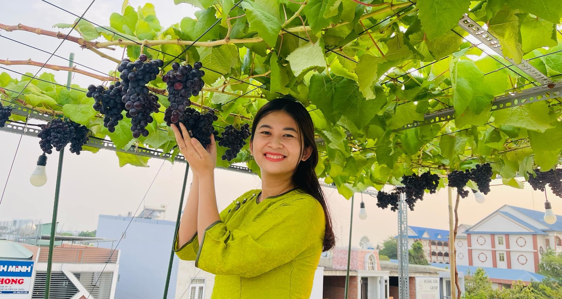 Vườn rau sum sê, nho trĩu trái trên sân thượng 80m2 ở Đồng Nai