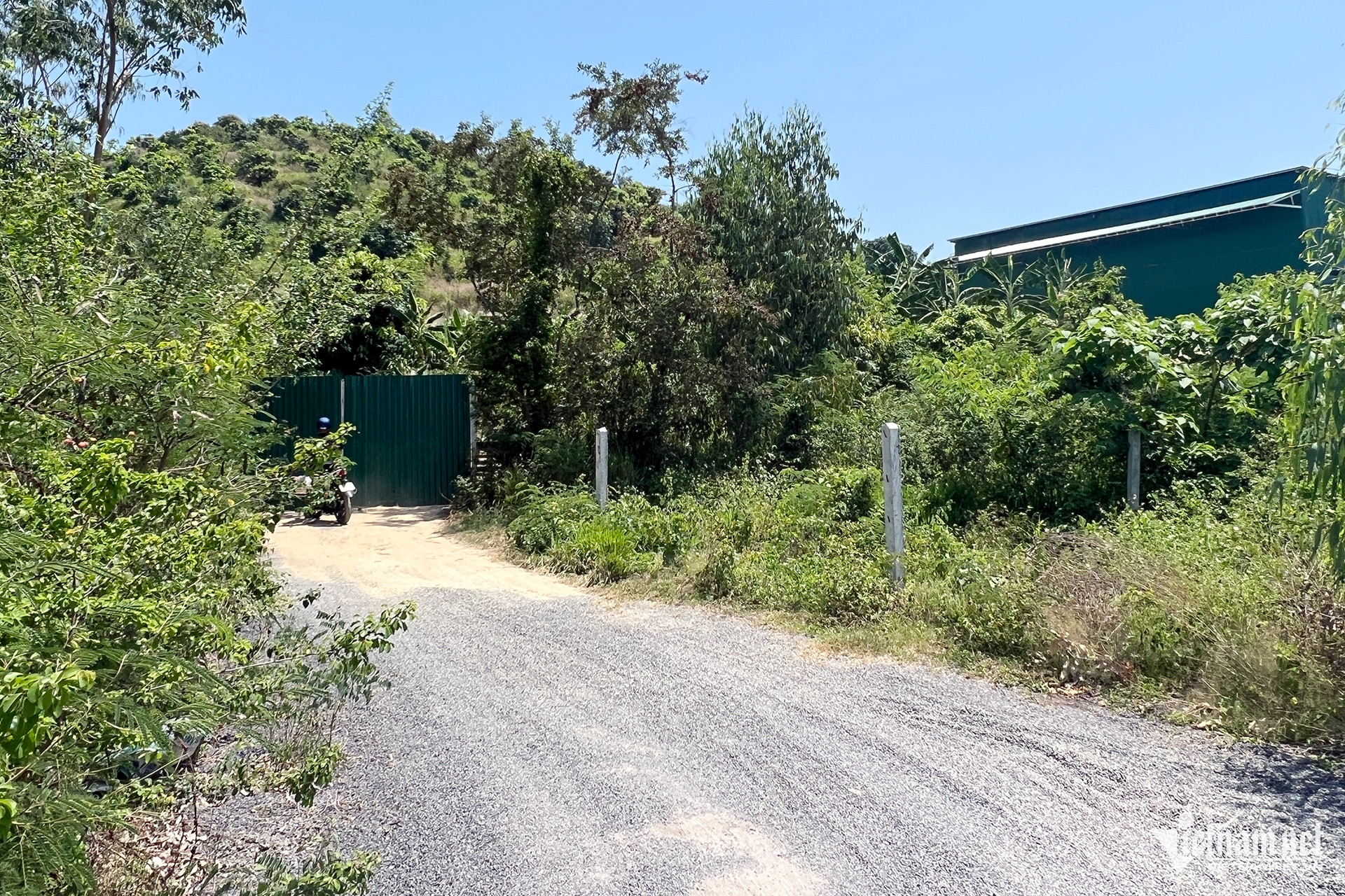 W-Ma tuy IMG_0596.jpg