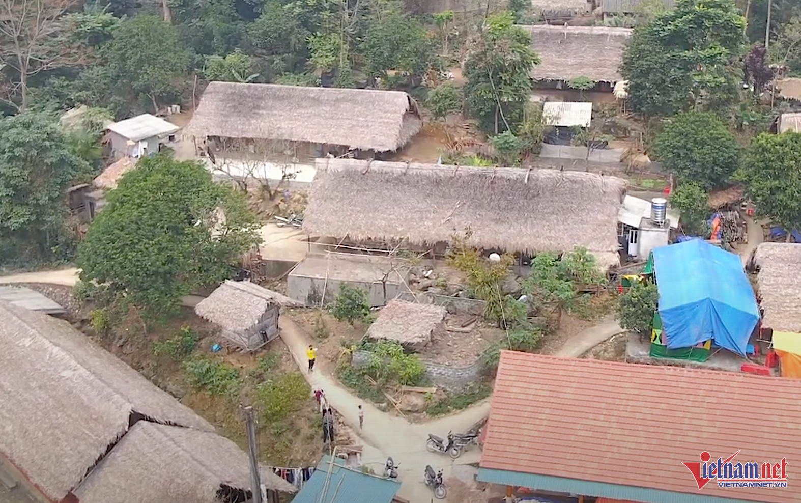 W-minhhoa.png