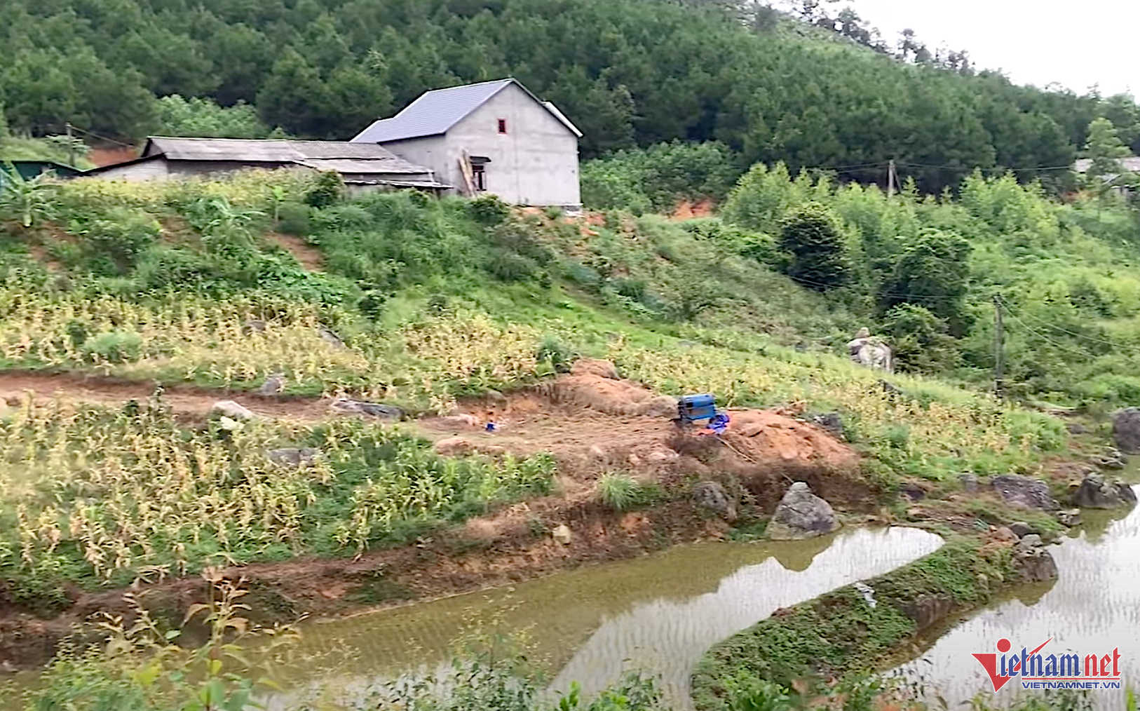 W-minhhoa.png