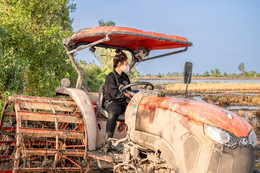 Cô gái Kiên Giang miệt mài lái máy cày: Chỉ mong cha mẹ được sung sướng
