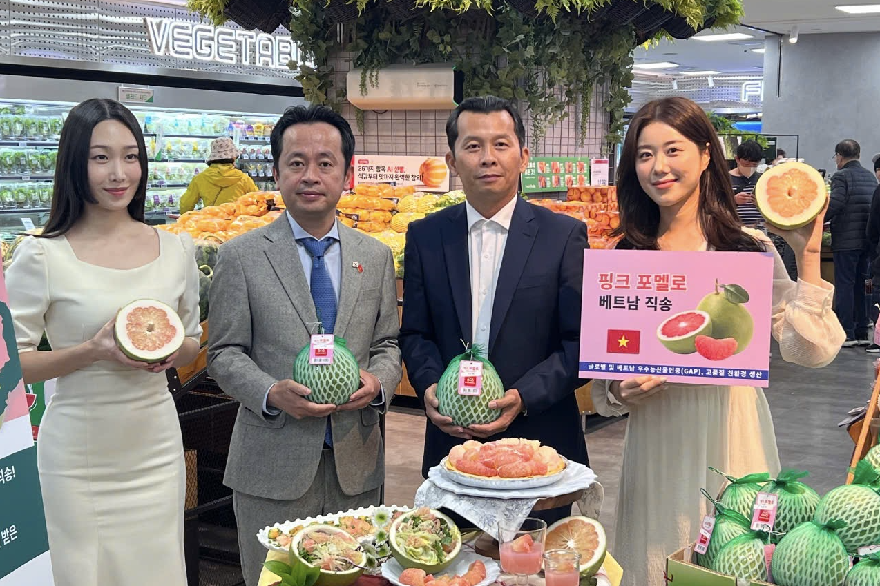 Việt Nam có 1,2 triệu tấn bưởi, ‘ông lớn’ bán lẻ Hàn Quốc sẽ bán trên toàn chuỗi